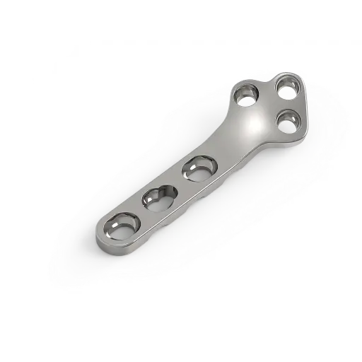 [LPTPLORM-35D] LPTPLORM-35D